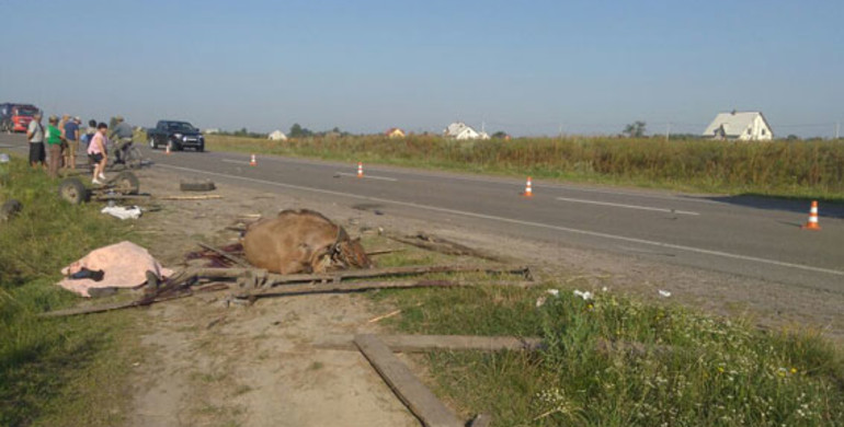 Смертльна ДТП на Рівненщині: загинув погонич підводи